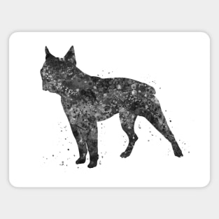 boston terrier dog black and white Magnet